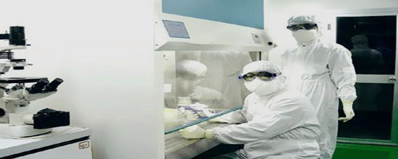 生物安全在生物技術研究與開發中的核心內容